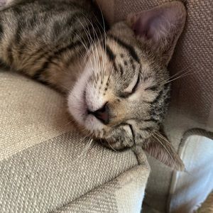 Meet your Posher, Margaret